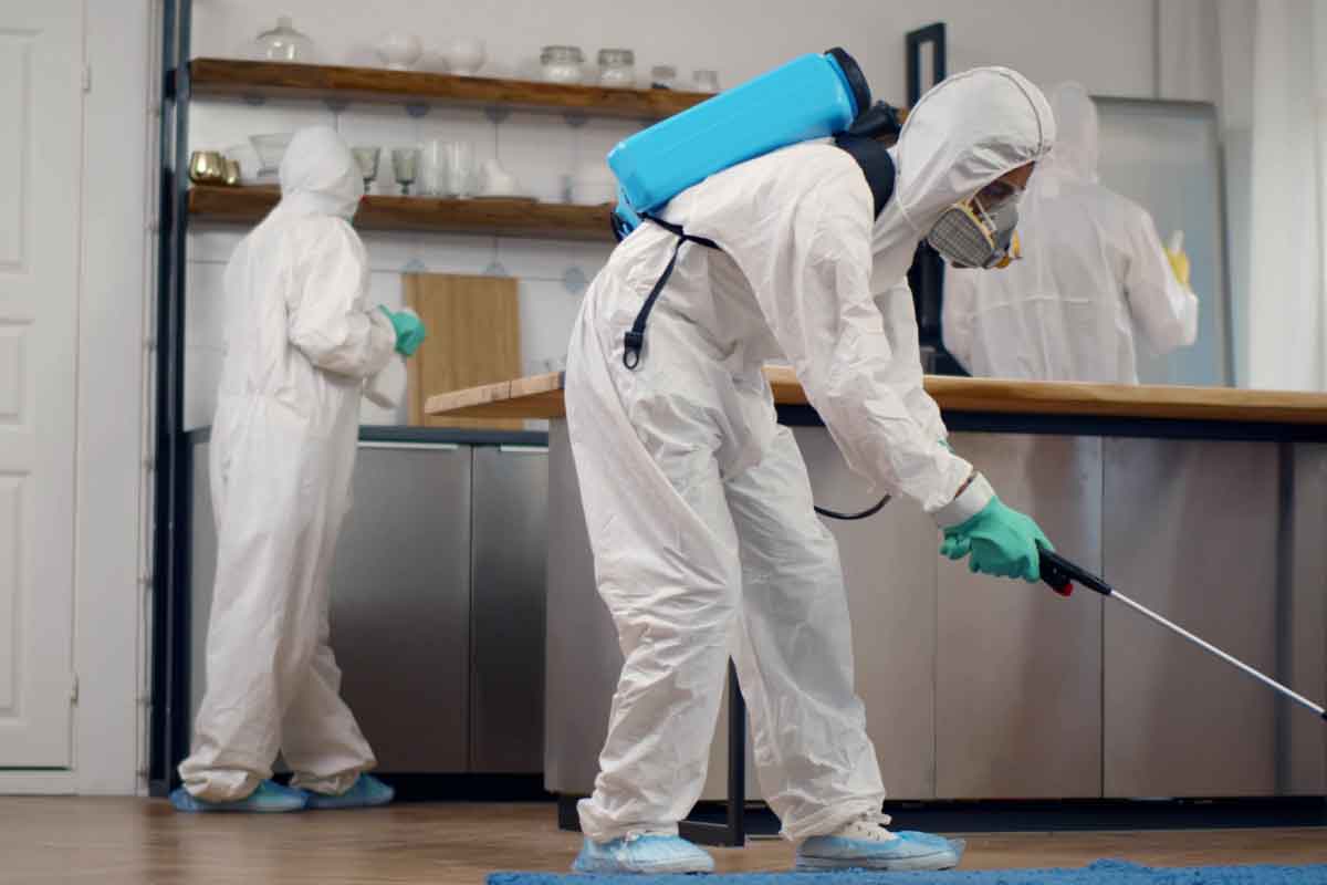 شركات مكافحة الحشرات والقوارض